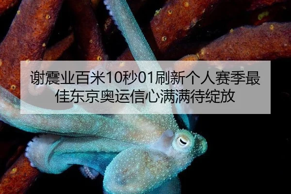谢震业百米10秒01刷新个人赛季最佳东京奥运信心满满待绽放