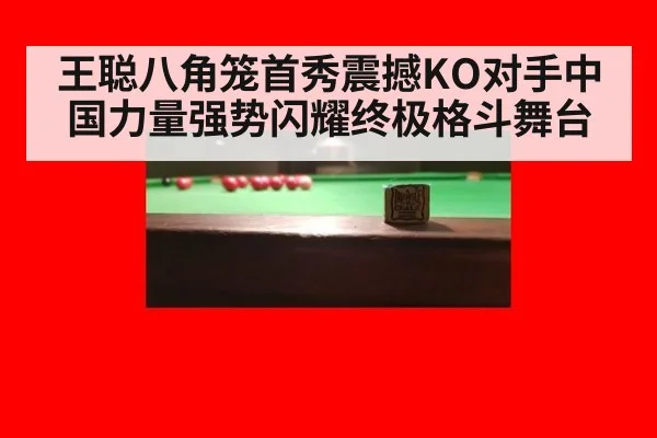 王聪八角笼首秀震撼KO对手中国力量强势闪耀终极格斗舞台